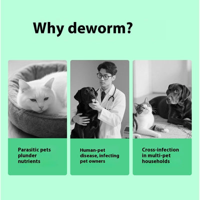 Pet itching relief products for pet care